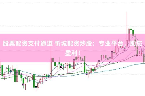 股票配资支付通道 忻城配资炒股：专业平台，助您盈利！