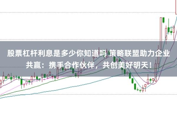 股票杠杆利息是多少你知道吗 策略联盟助力企业共赢：携手合作伙伴，共创美好明天！