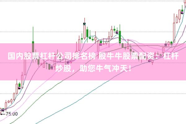 国内股票杠杆公司排名榜 股牛牛股票配资：杠杆炒股，助您牛气冲天！