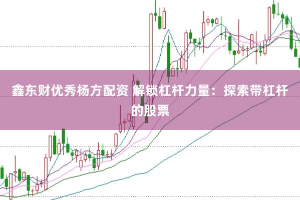 鑫东财优秀杨方配资 解锁杠杆力量：探索带杠杆的股票