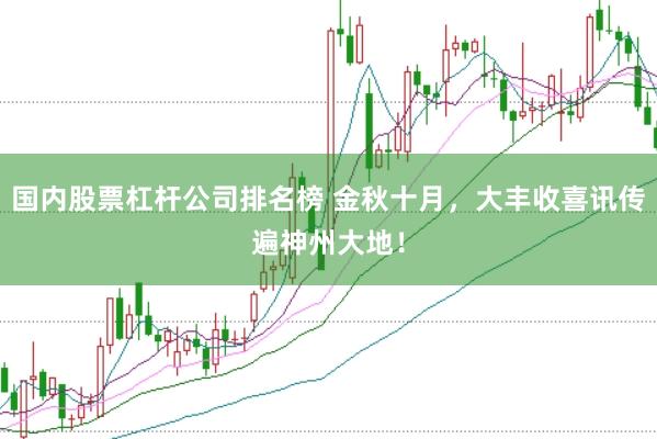 国内股票杠杆公司排名榜 金秋十月，大丰收喜讯传遍神州大地！