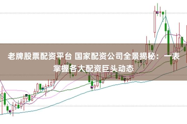 老牌股票配资平台 国家配资公司全景揭秘：一表掌握各大配资巨头动态