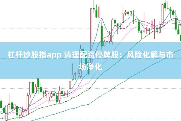 杠杆炒股指app 清理配资停牌股：风险化解与市场净化
