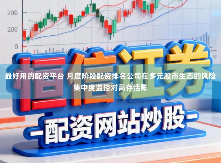 最好用的配资平台 月度阶段配资排名公司在多元股市生态的风险集中度监控对高存活账